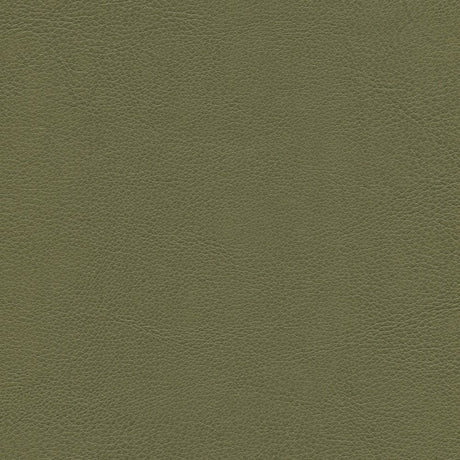 54" Enduratex™ Aspirations Leek (ASP1100-NFR) Vinyl Fabric Image 1