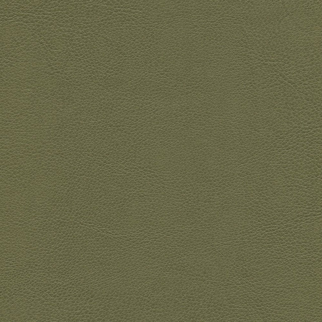 54" Enduratex™ Aspirations Leek (ASP1100-NFR) Vinyl Fabric Image 1