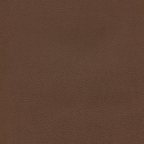 54" Enduratex™ Aspirations Milk Chocolate (ASP1200-NFR) Vinyl Fabric Image 1
