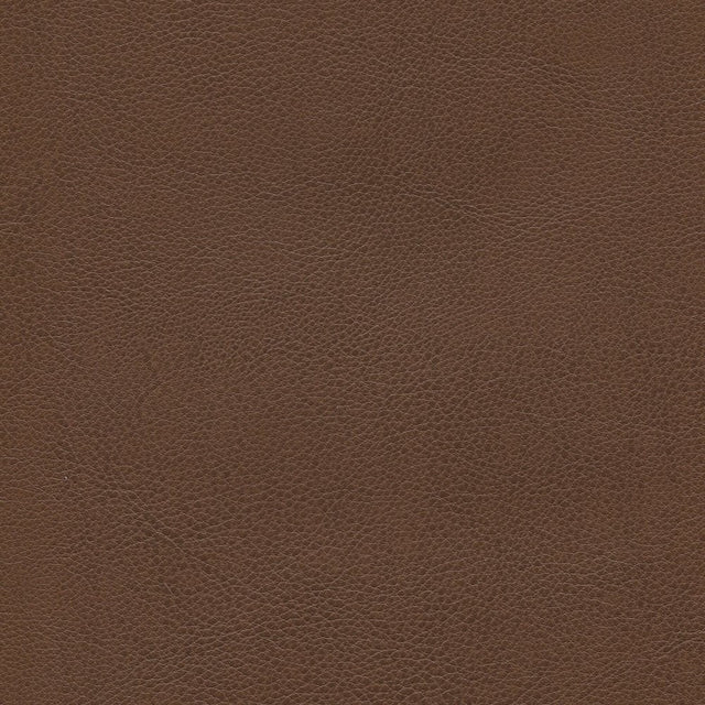 54" Enduratex™ Aspirations Milk Chocolate (ASP1200-NFR) Vinyl Fabric Image 1