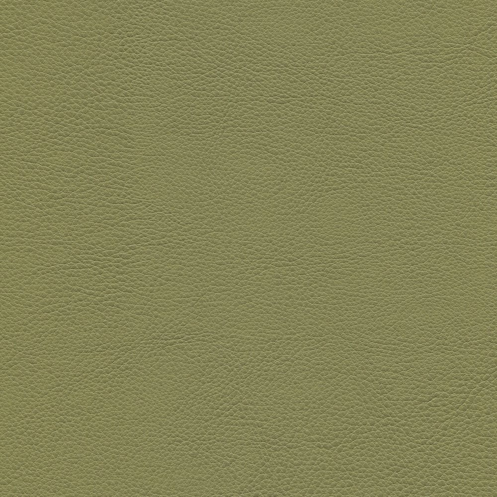 54" Enduratex™ Aspirations Olivareous (ASP1400-NFR) Vinyl Fabric Image 1