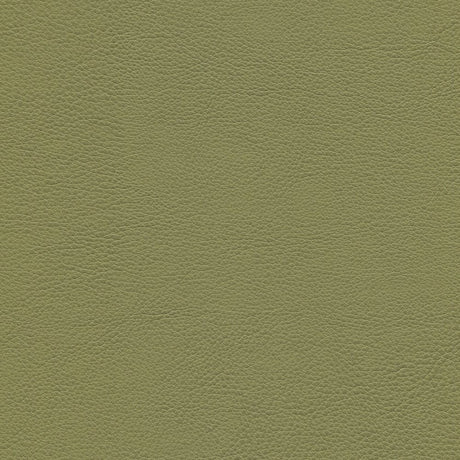 54" Enduratex™ Aspirations Olivareous (ASP1400-NFR) Vinyl Fabric Image 1