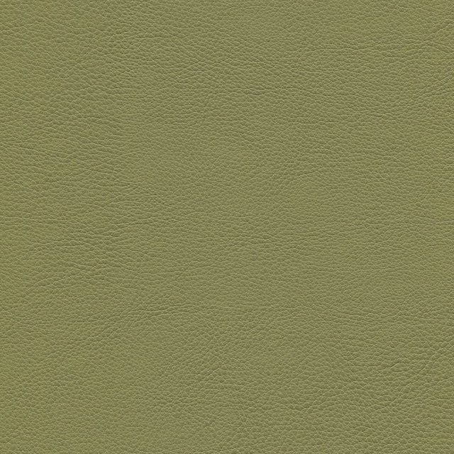 54" Enduratex™ Aspirations Olivareous (ASP1400-NFR) Vinyl Fabric Image 1