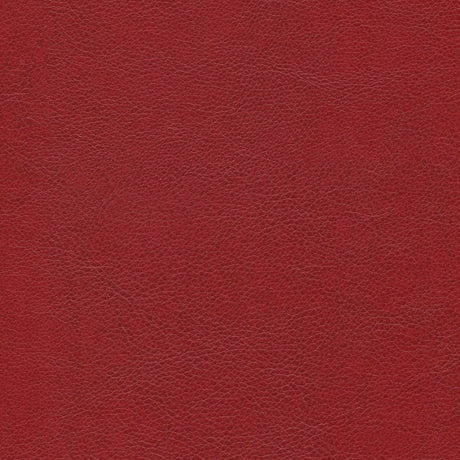 54" Enduratex™ Aspirations Sanguine (ASP1800-NFR) Vinyl Fabric Image 1
