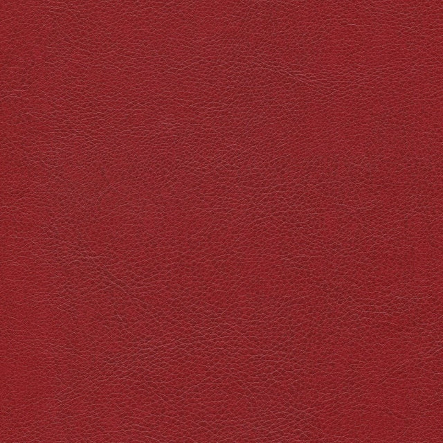 54" Enduratex™ Aspirations Sanguine (ASP1800-NFR) Vinyl Fabric Image 1