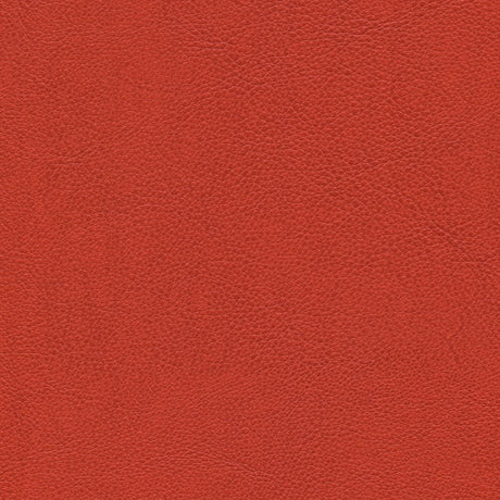 54" Enduratex™ Aspirations Tangelo (ASP2100-NFR) Vinyl Fabric Image 1