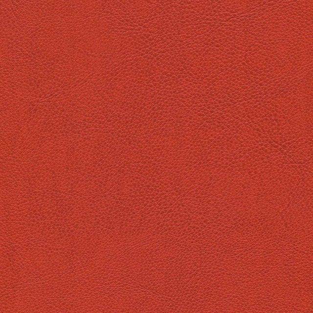 54" Enduratex™ Aspirations Tangelo (ASP2100-NFR) Vinyl Fabric Image 1
