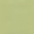 54" Enduratex™ Brushed Aluminum Lime Green (400Q) Vinyl Fabric Image 1