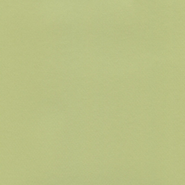 54" Enduratex™ Brushed Aluminum Lime Green (400Q) Vinyl Fabric Image 1