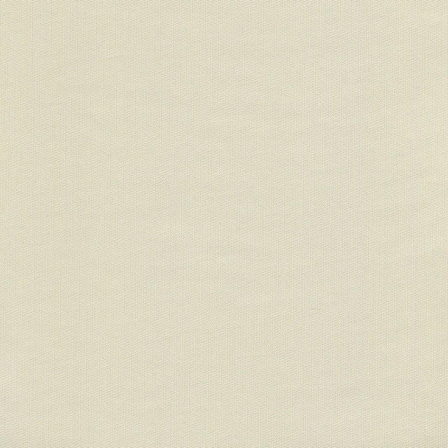 54" Enduratex™ Headliner Premier White (PPL-1168-A) Vinyl Fabric Image 1
