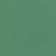 54" Enduratex™ Independence Amuse-Mint (8750) Vinyl Fabric Image 1