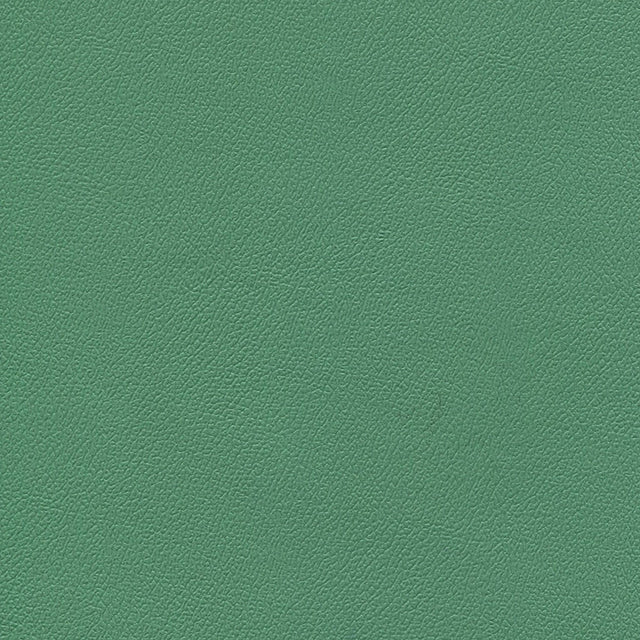 54" Enduratex™ Independence Amuse-Mint (8750) Vinyl Fabric Image 1