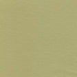 54" Enduratex™ Independence Baby Greens (8752) Vinyl Fabric Image 1