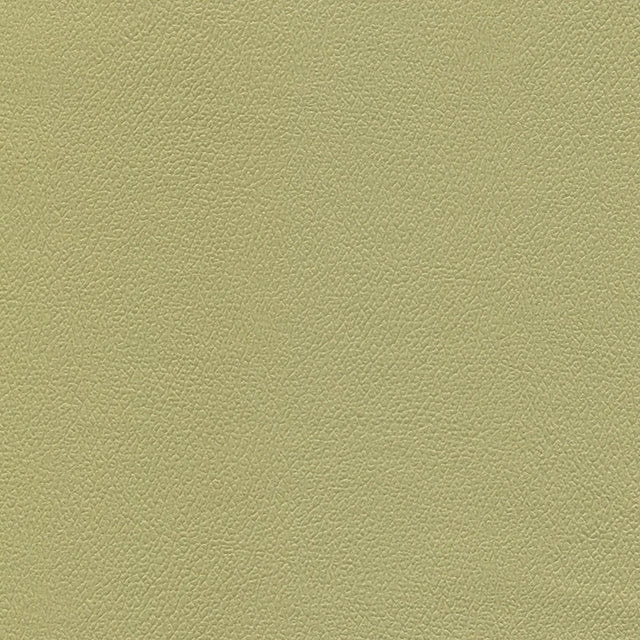 54" Enduratex™ Independence Baby Greens (8752) Vinyl Fabric Image 1