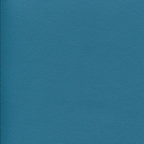 54" Enduratex™ Independence Cabana Boy (8758) Vinyl Fabric Image 1