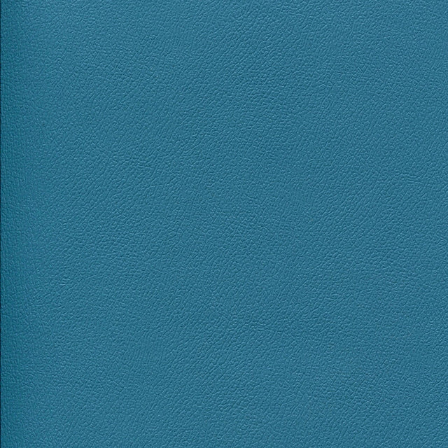 54" Enduratex™ Independence Cabana Boy (8758) Vinyl Fabric Image 1