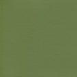 54" Enduratex™ Independence Dusty Olive (8764) Vinyl Fabric Image 1