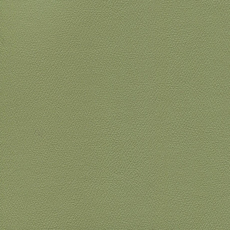 54" Enduratex™ Independence Echo Valley (8765) Vinyl Fabric Image 1