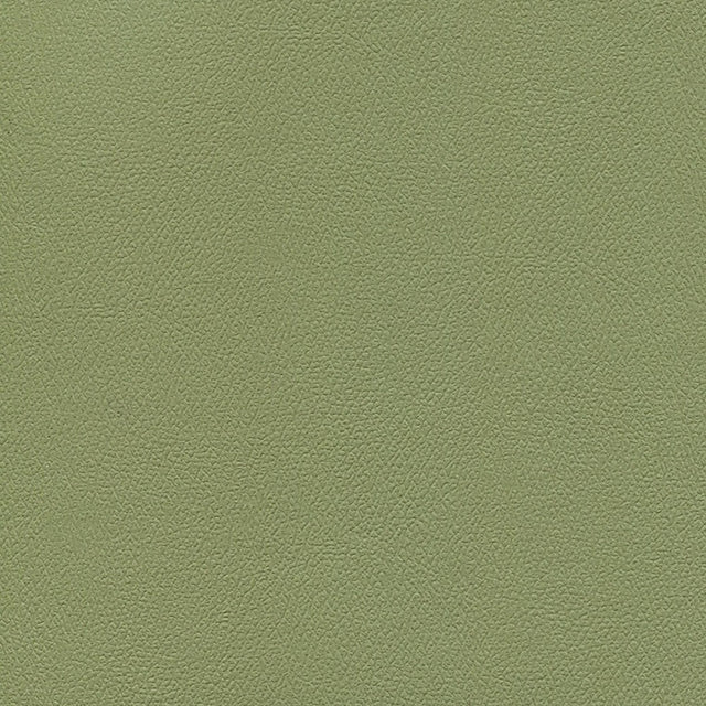 54" Enduratex™ Independence Echo Valley (8765) Vinyl Fabric Image 1