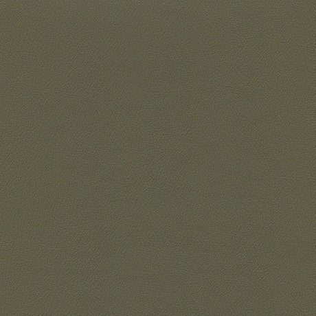 54" Enduratex™ Independence Eucalytpus (8638) Vinyl Fabric Image 1