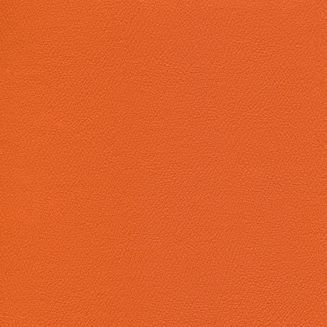 54" Enduratex™ Independence Long Horn (8771) Vinyl Fabric Image 1