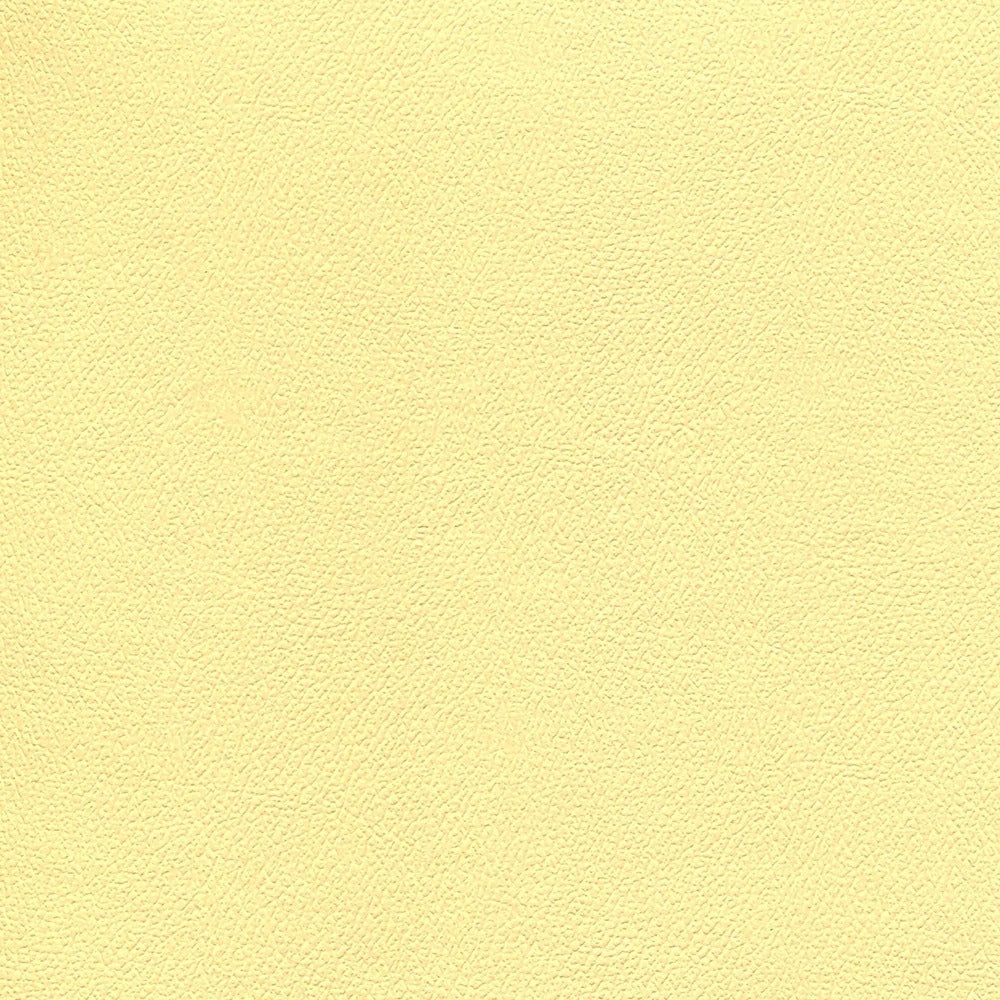 54" Enduratex™ Independence Sunny Disposition (8776) Vinyl Fabric Image 1