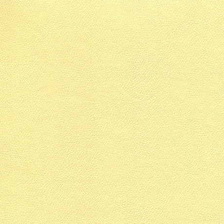 54" Enduratex™ Independence Sunny Disposition (8776) Vinyl Fabric Image 1