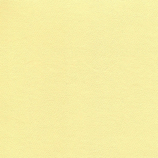 54" Enduratex™ Independence Sunny Disposition (8776) Vinyl Fabric Image 1
