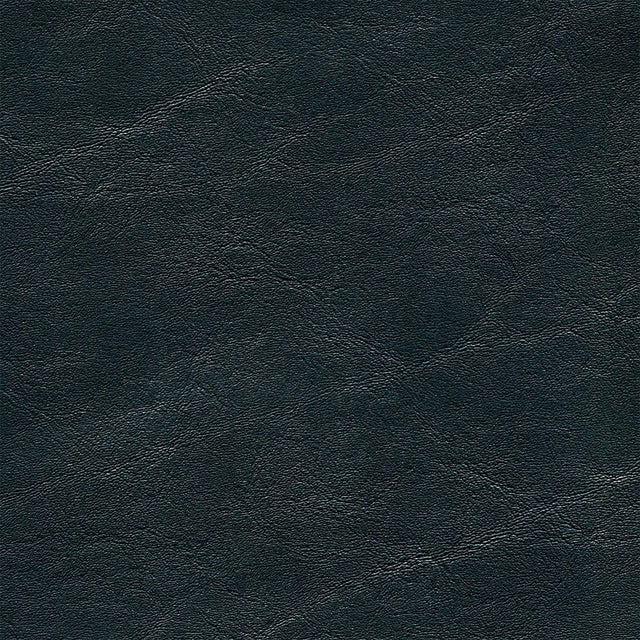 54" Enduratex™ Jetstream Black Pearl (019) Vinyl Fabric Image 1