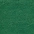 54" Enduratex™ Jetstream Imperial Green (012) Vinyl Fabric Image 1