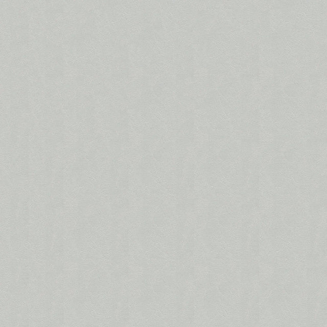 54" Enduratex™ Jetstream Lone Star Silver (016) Vinyl Fabric Image 1