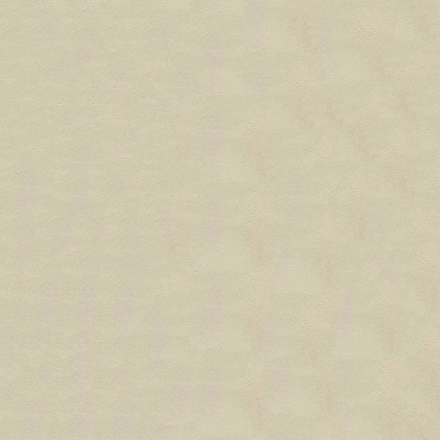 54" Enduratex™ Lighthouse Off White (4923) Vinyl Fabric Image 1