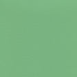 54" Enduratex™ Prizm Greenery (028) Vinyl Fabric Image 1