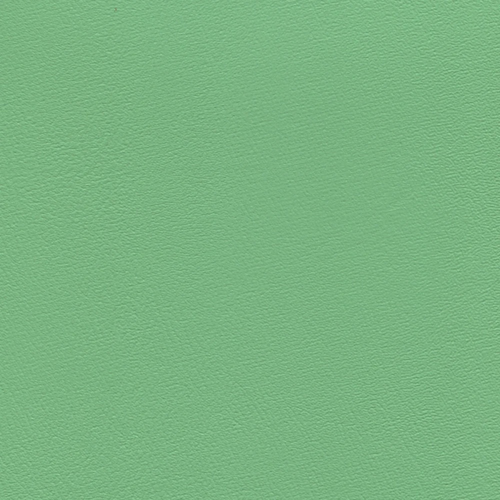 54" Enduratex™ Prizm Greenery (028) Vinyl Fabric Image 1