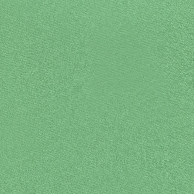 54" Enduratex™ Prizm Greenery (028) Vinyl Fabric Image 1