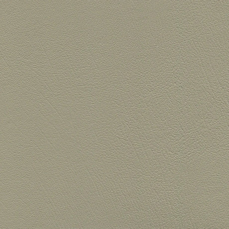 54" Enduratex™ Prizm Sand (035) Vinyl Fabric Image 1
