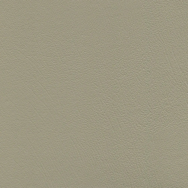 54" Enduratex™ Prizm Sand (035) Vinyl Fabric Image 1