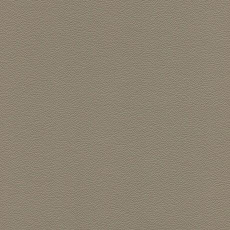 54" Enduratex™ Soho Med. Lt. Stone (7689) Vinyl Fabric Image 1