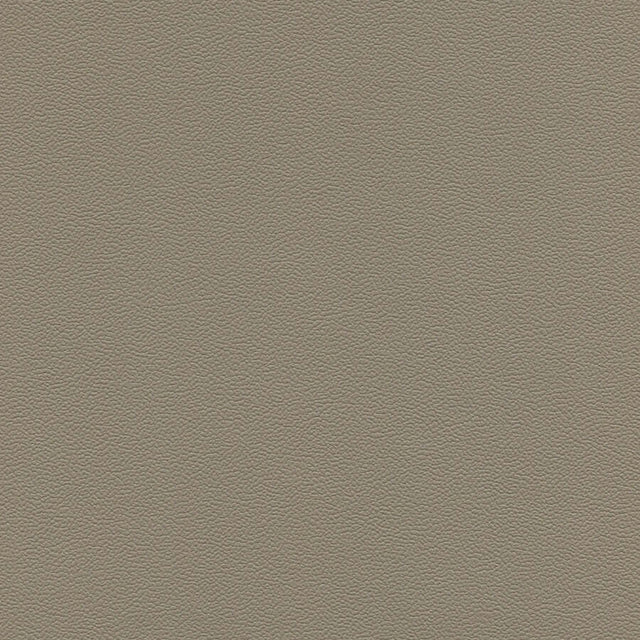 54" Enduratex™ Soho Med. Lt. Stone (7689) Vinyl Fabric Image 1