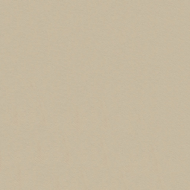 54" Enduratex™ Tradewinds Coastal Sand (6610) Vinyl Fabric Image 1
