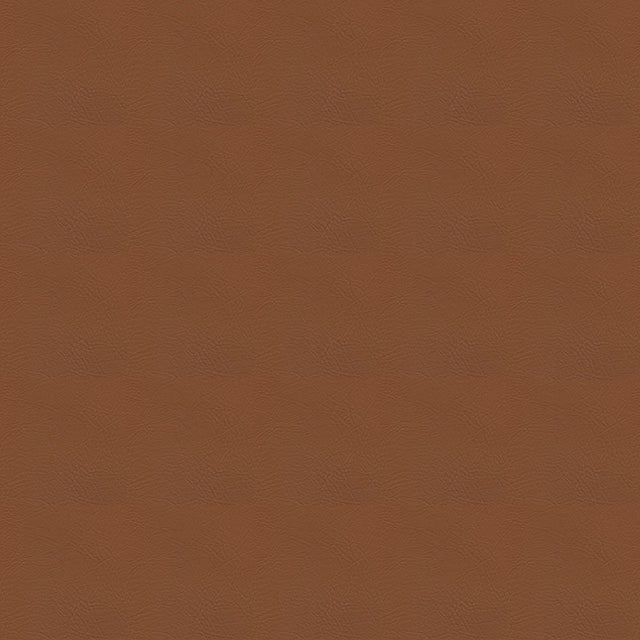 54" Enduratex™ Tradewinds Deep Suntan (6637) Vinyl Fabric Image 1