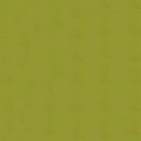 54" Enduratex™ Tradewinds Lively Leaf (6642) Vinyl Fabric Image 1