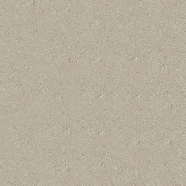 54" Enduratex™ Tradewinds Moonmisty (6620) Vinyl Fabric Image 1