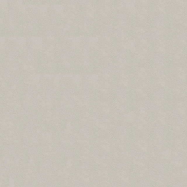 54" Enduratex™ Tradewinds Pearl (7720) Vinyl Fabric Image 1