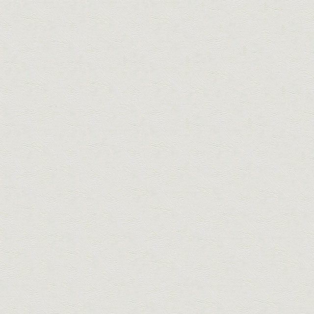 54" Enduratex™ Tradewinds Ultra White (6648) Vinyl Fabric Image 1