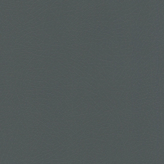 54" Enduratex™ Vaquero Hematite (1020) Vinyl Fabric Image 1