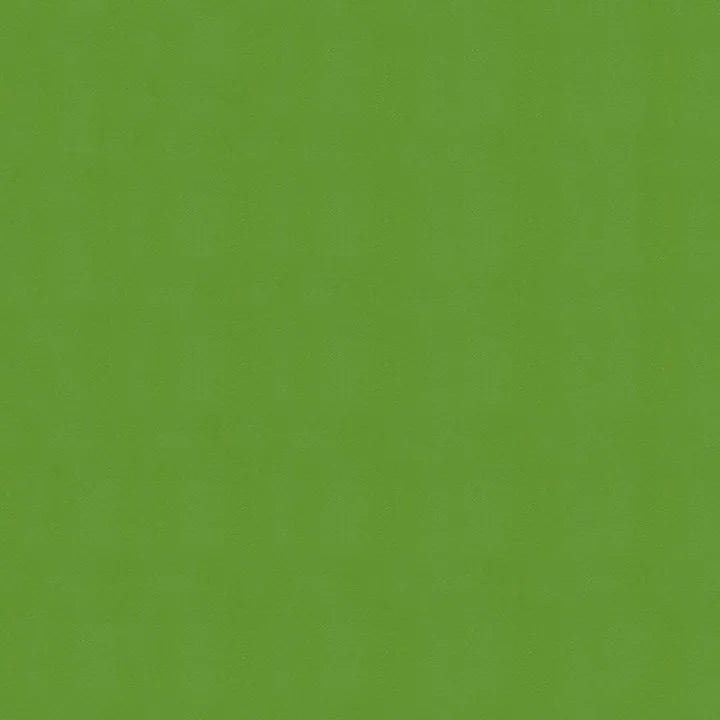 54" Enduratex™ Windsong Lime Cooler (717) Vinyl Fabric Image 1
