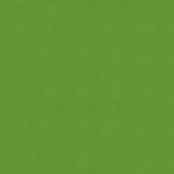 54" Enduratex™ Windsong Lime Cooler (717) Vinyl Fabric Image 1