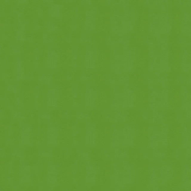 54" Enduratex™ Windsong Lime Cooler (717) Vinyl Fabric Image 1