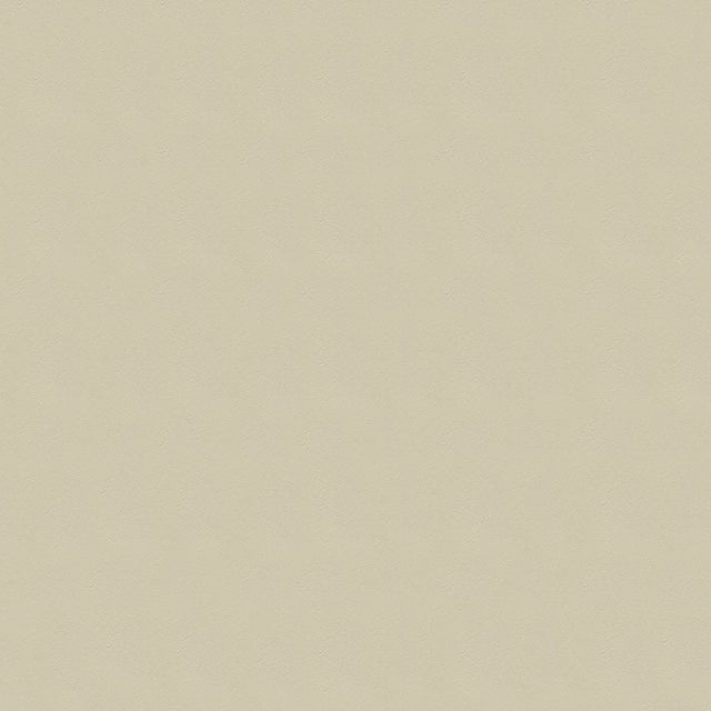 54" Enduratex™ Windsong Maui Sand (719) Vinyl Fabric Image 1